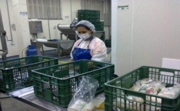 Producto pulpas final Agrocom