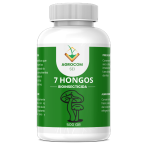 7 Hongos