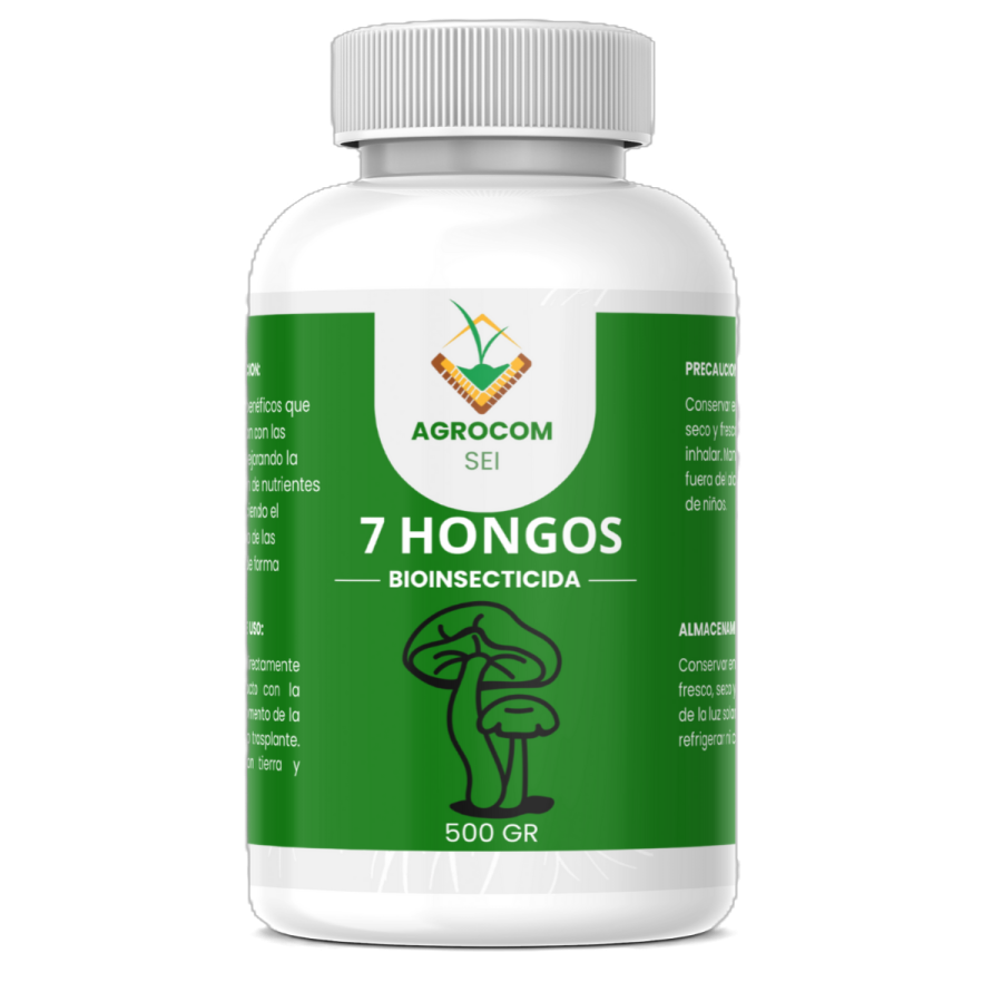 7 Hongos